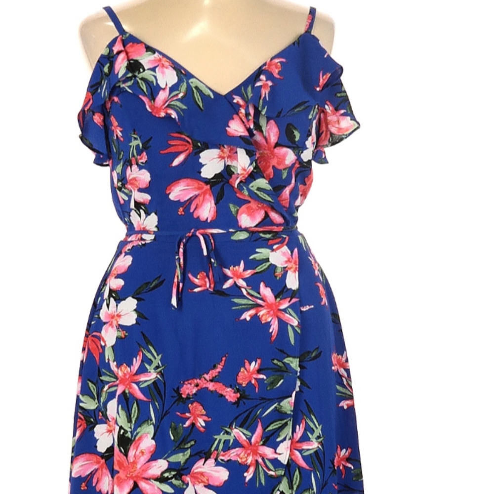 Iz byer dress, Large, blue floral